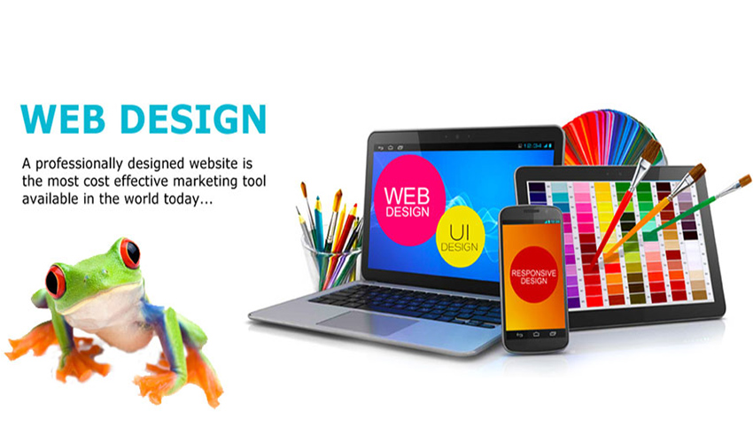 Website Design Company Udaipur